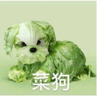 一个无情的点赞人