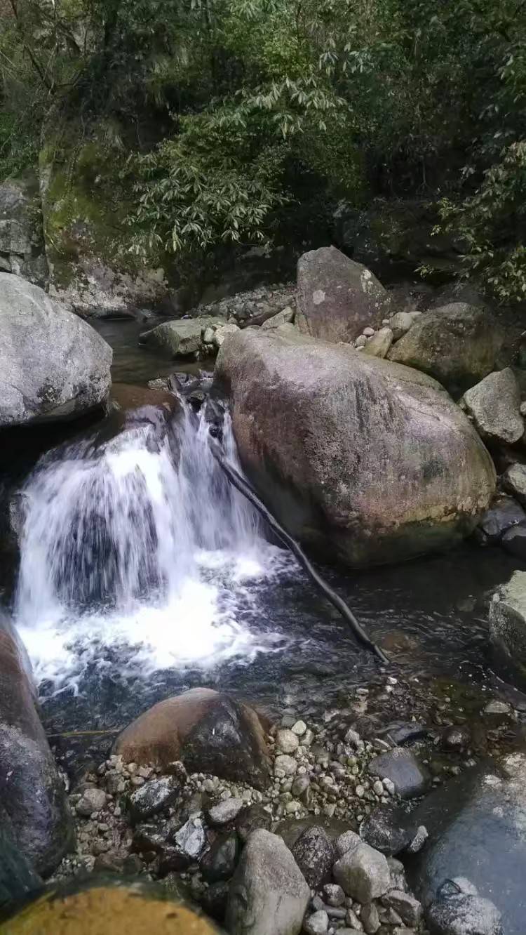 想出去玩